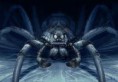 /album/acromantula/acromantula-2-jpg/